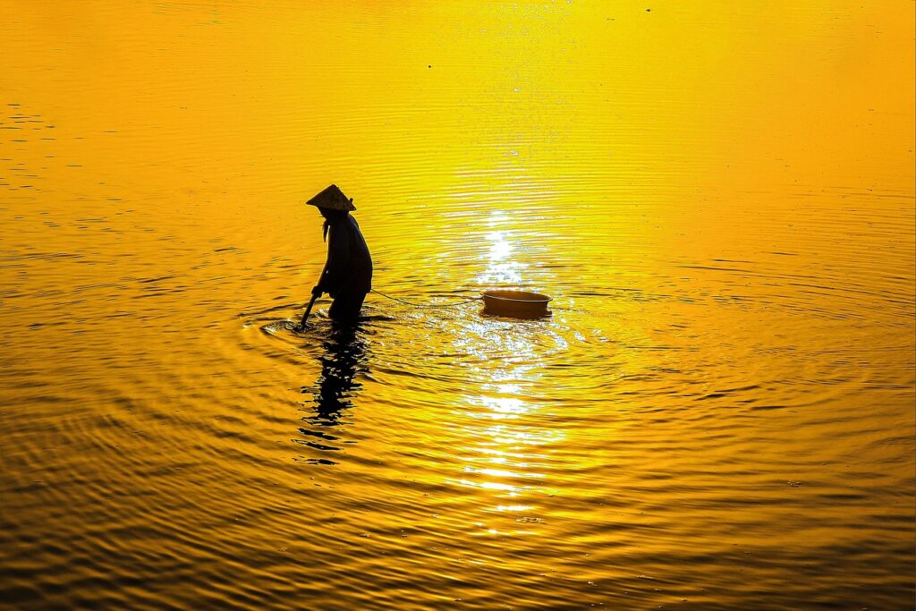 紅白の見逃し配信はどこで見れる？