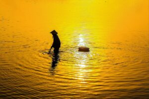 独占配信で楽しむ推し活のおすすめアイデアは？