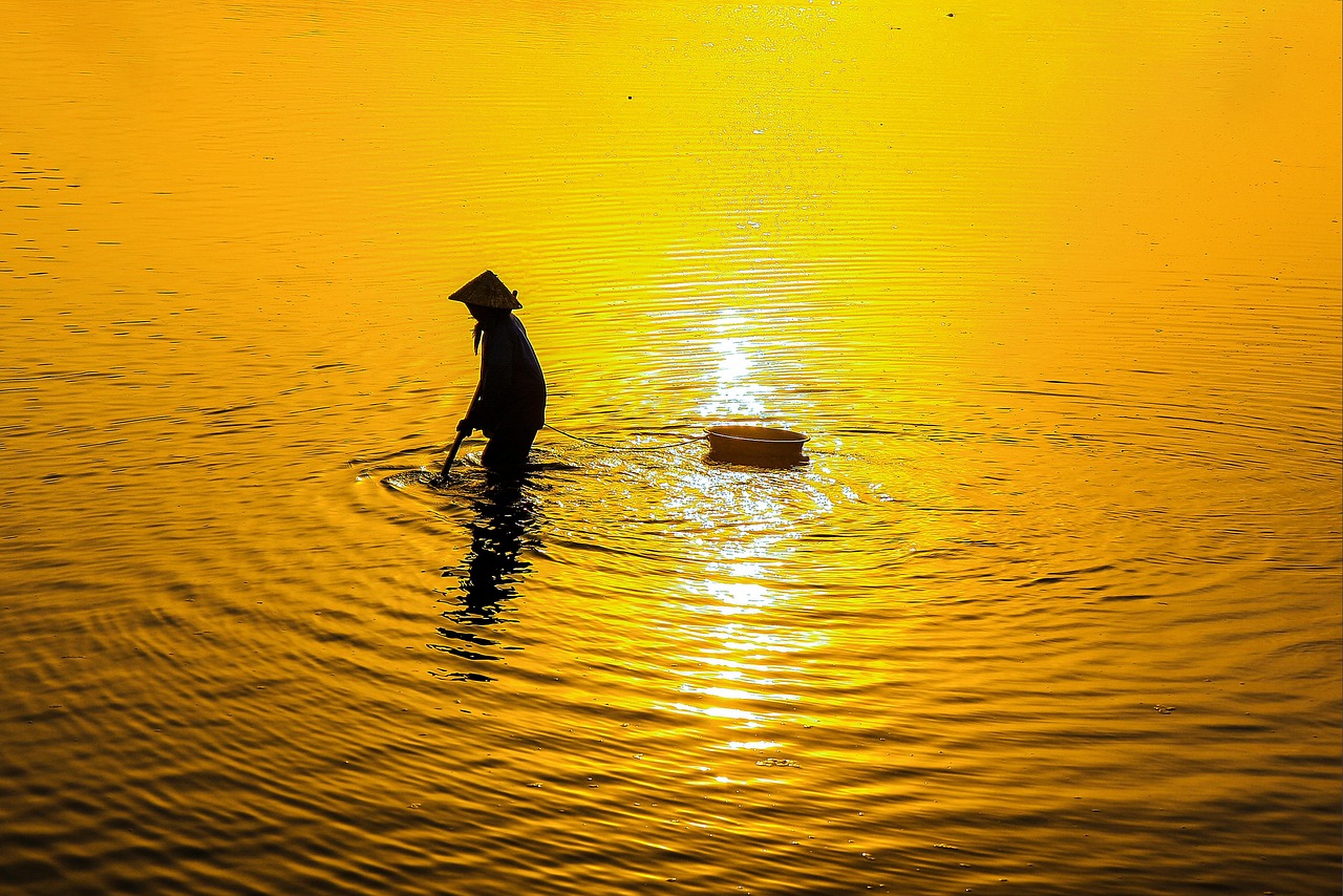 独占配信で楽しむ推し活のおすすめアイデアは？